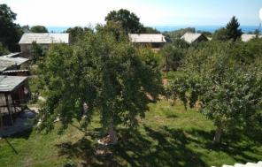 ПРОДАЮ ДОМ Финский 4 комнаты, хоз постройки, гараж, цветущий сад, 10 сот.