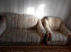 продаю срочно диванчик и кресло бу